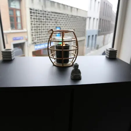 Studio 200 Meters From Central Station * Antwerpen