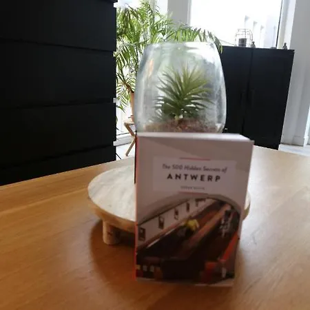 Studio 200 Meters From Central Station Antwerpen